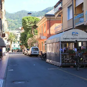 Hibiscus , Levanto Italia